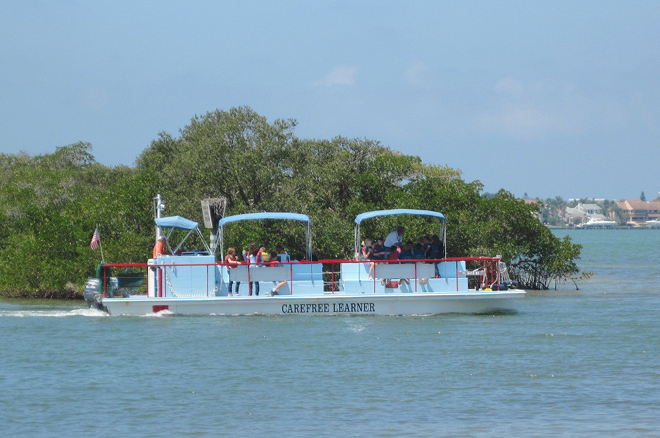 Sarasota - 'Carefree Learner'